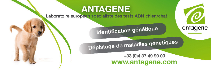 www.antagene.com
