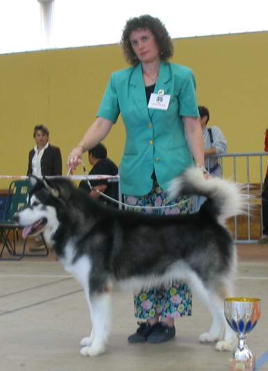 BOS - ATHABASKA JOHNNY WALKER