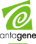 cliquez sur ce logo pour visiter le site du laboratoire Antagne