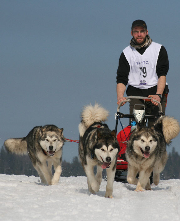 Souvenir Of Sitka's China Blue, Souvenir Of Sitka's Holy Moly et Dakota Of Mountain Pack