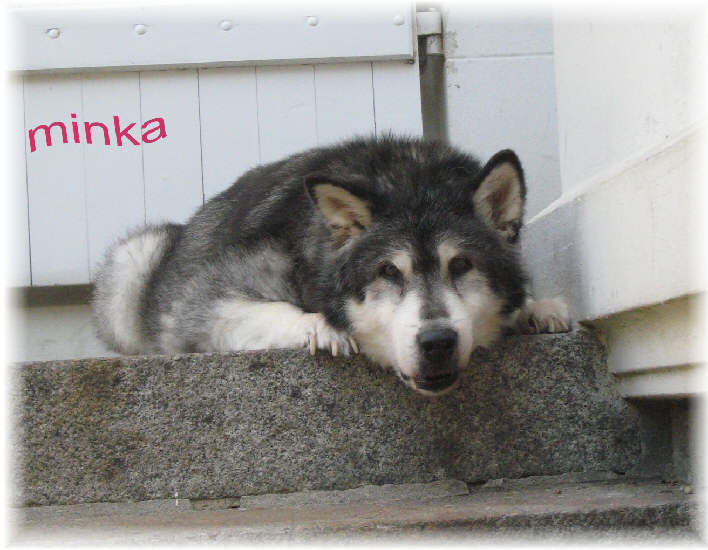 Minka 17 ans