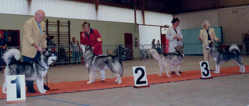 AMCF - Nationale d' Elevage 2001 