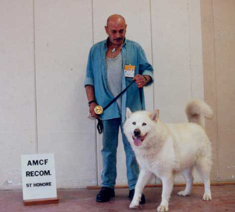 AMCF - Nationale d' Elevage 2001 