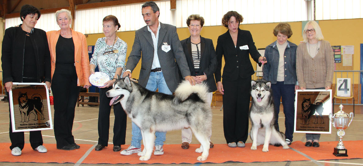 BIS - NEW JERSEI BOS - DAL RIZZO INDIPENDENCE DAY